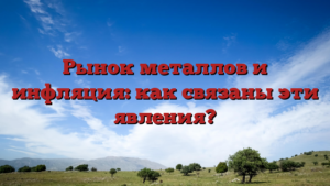 Рынок металлов и инфляция: как связаны эти явления?