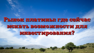 Рынок платины: где сейчас искать возможности для инвестирования?
