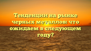 Тенденции на рынке черных металлов: что ожидаем в следующем году?