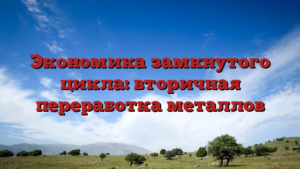 Экономика замкнутого цикла: вторичная переработка металлов
