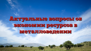 Актуальные вопросы об экономии ресурсов в металловедении