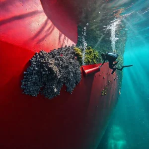 Фото по теме: Покрытия для защиты днища судов от обрастания ракушками.